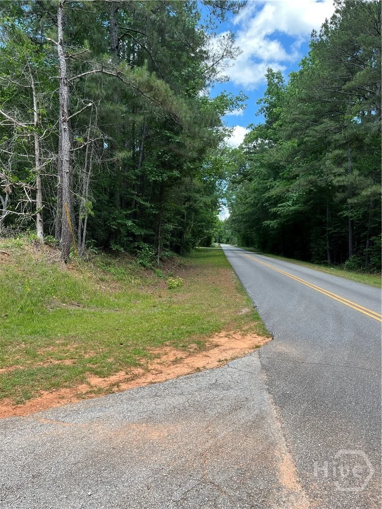 0 Stinchcomb Road, Elberton, GA, 30635