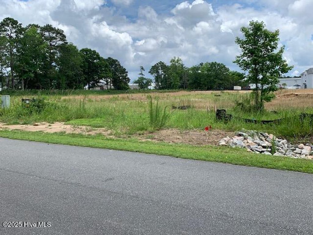 Photo of 98 Wildwood Street NW, Shallotte, NC 28470 (MLS # 100512196)