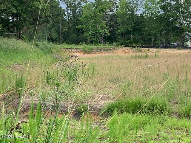 98 Wildwood Street NW