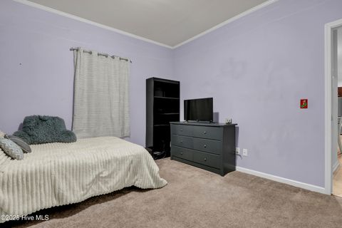 Tiny photo for 2636 Brinson Road, Currie, NC 28435 (MLS # 100546158)