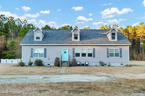 Tiny photo for 2636 Brinson Road, Currie, NC 28435 (MLS # 100546158)