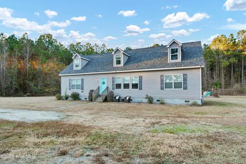 Tiny photo for 2636 Brinson Road, Currie, NC 28435 (MLS # 100546158)