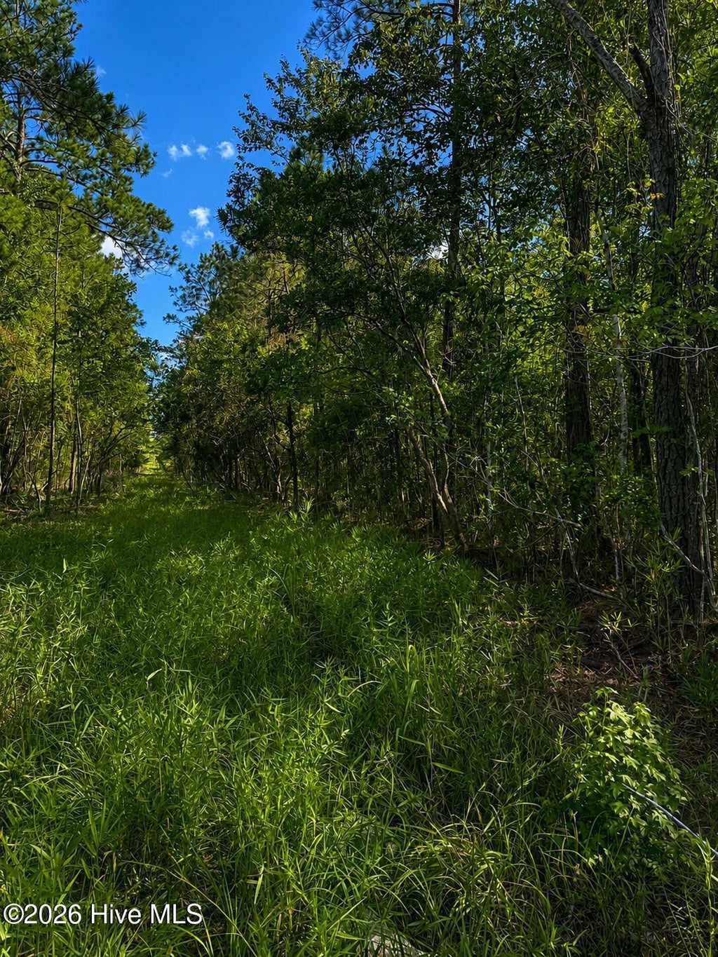 Photo of Tbd S Goldfinch Place SE, Southport, NC 28461 (MLS # 100590579)