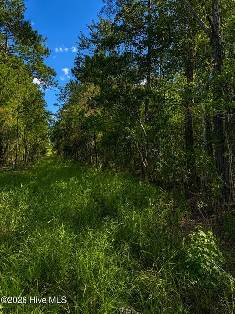 Vacant Land For Sale - TBD S Goldfinch Place<br/> Brunswick County, Southport, NC 28461