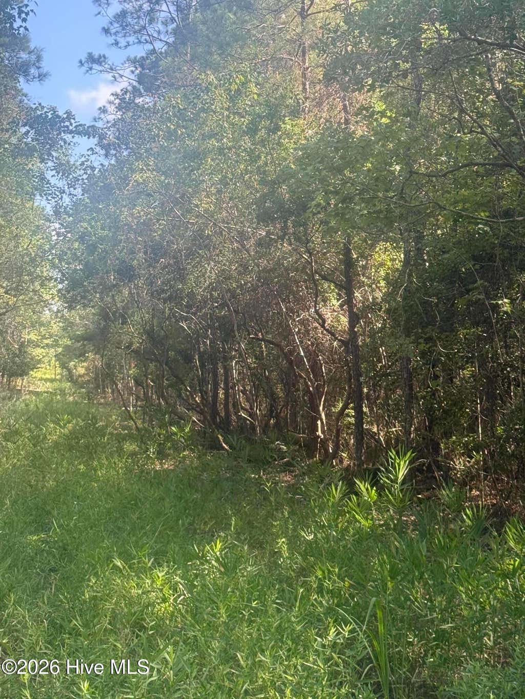 Photo of Tbd S Goldfinch Place SE, Southport, NC 28461 (MLS # 100590579)