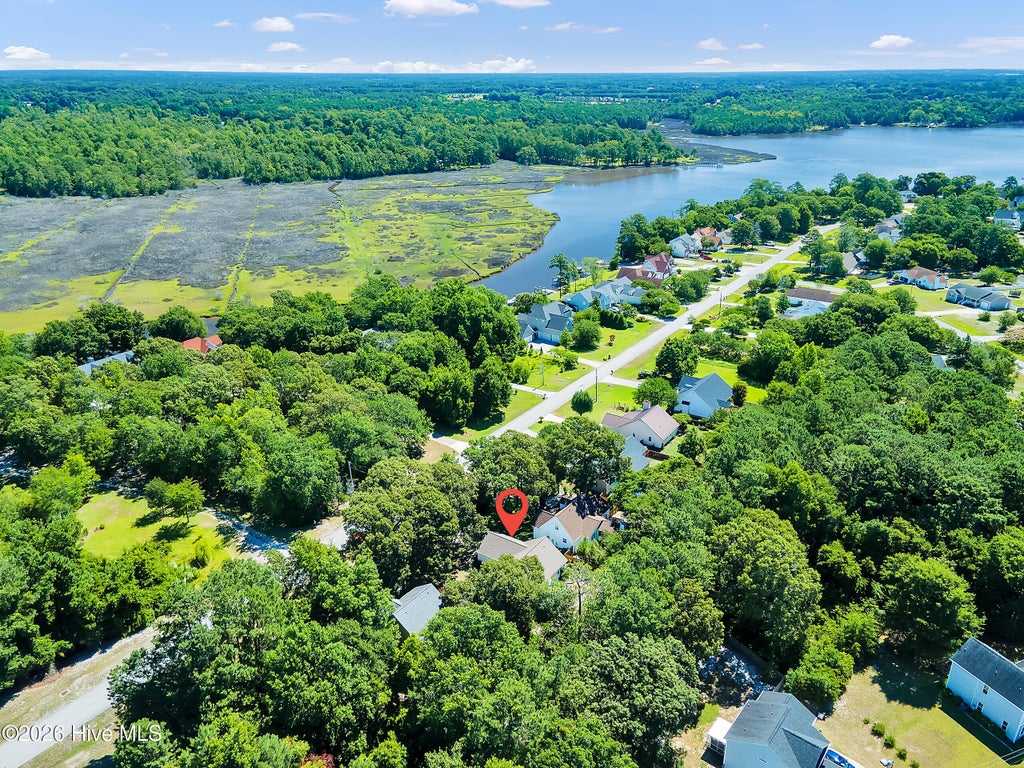 Photo of 219 E Ivybridge Drive, Hubert, NC 28539 (MLS # 100584723)