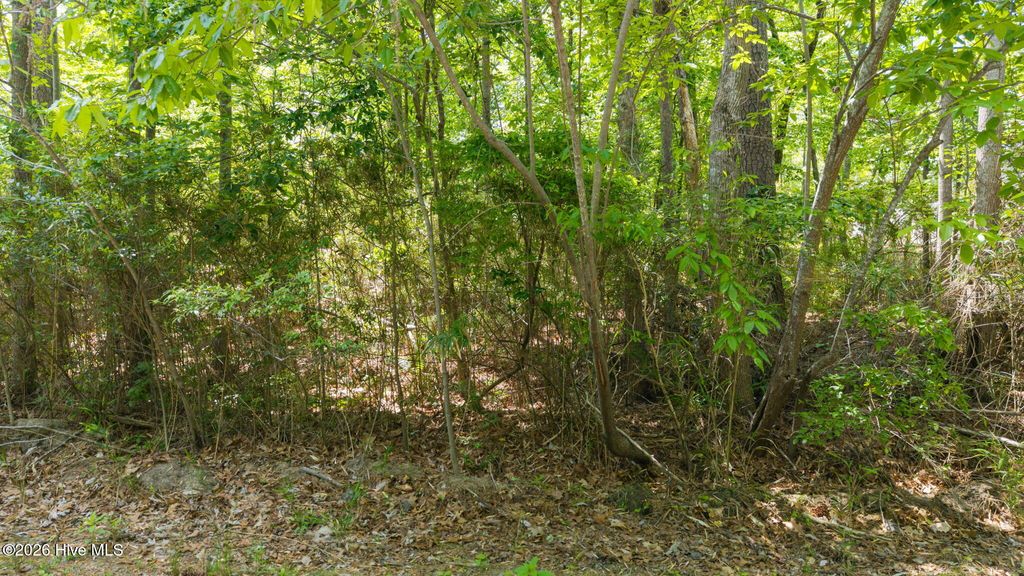 Photo of 106 Shropshire Lane, Seven Lakes, NC 27376 (MLS # 100572353)