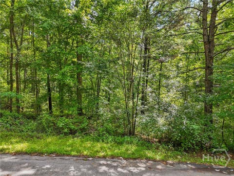 Vacant Land For Sale - 1040 Union Station Road<br/> Greene County, Greensboro, GA 30642