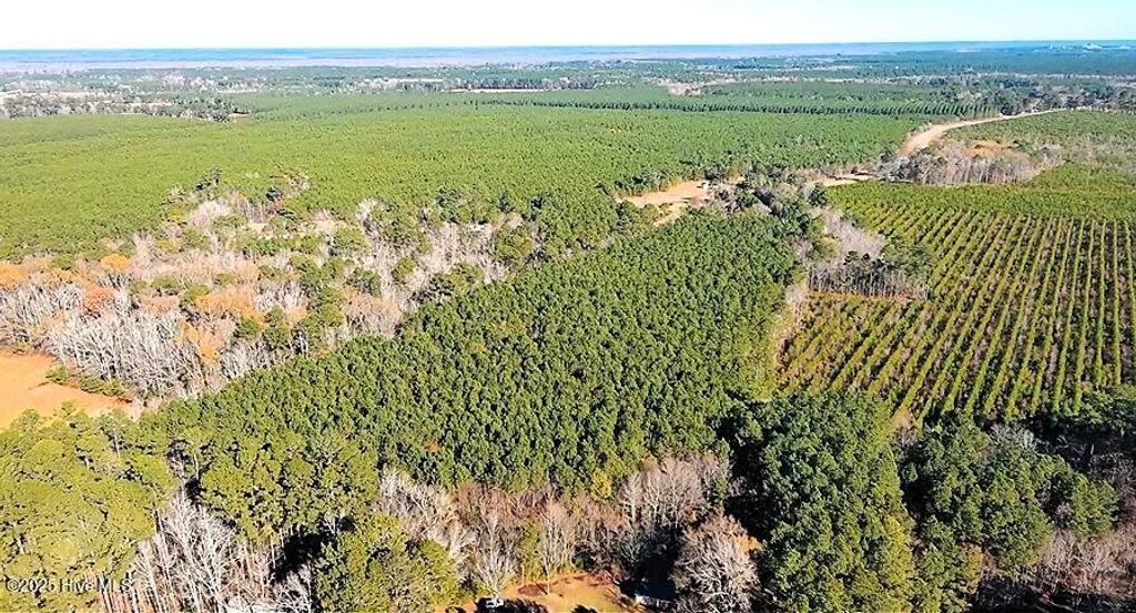 Photo of 648 Nc 45 S, Cofield, NC 27922 (MLS # 100546168)