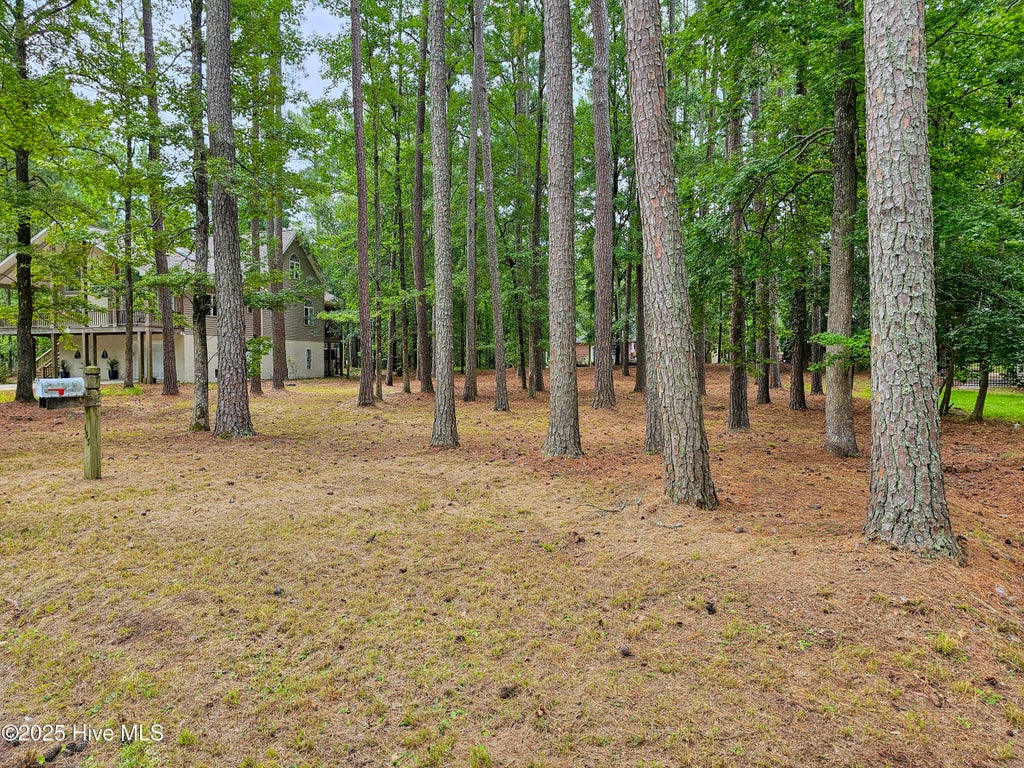 Photo of 103 Greenbriar Lane, Washington, NC 27889 (MLS # 100602567)
