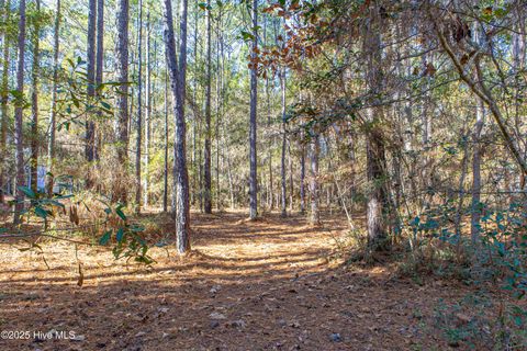 Tiny photo for 3015 Valderama Way SE, Bolivia, NC 28422 (MLS # 100547026)