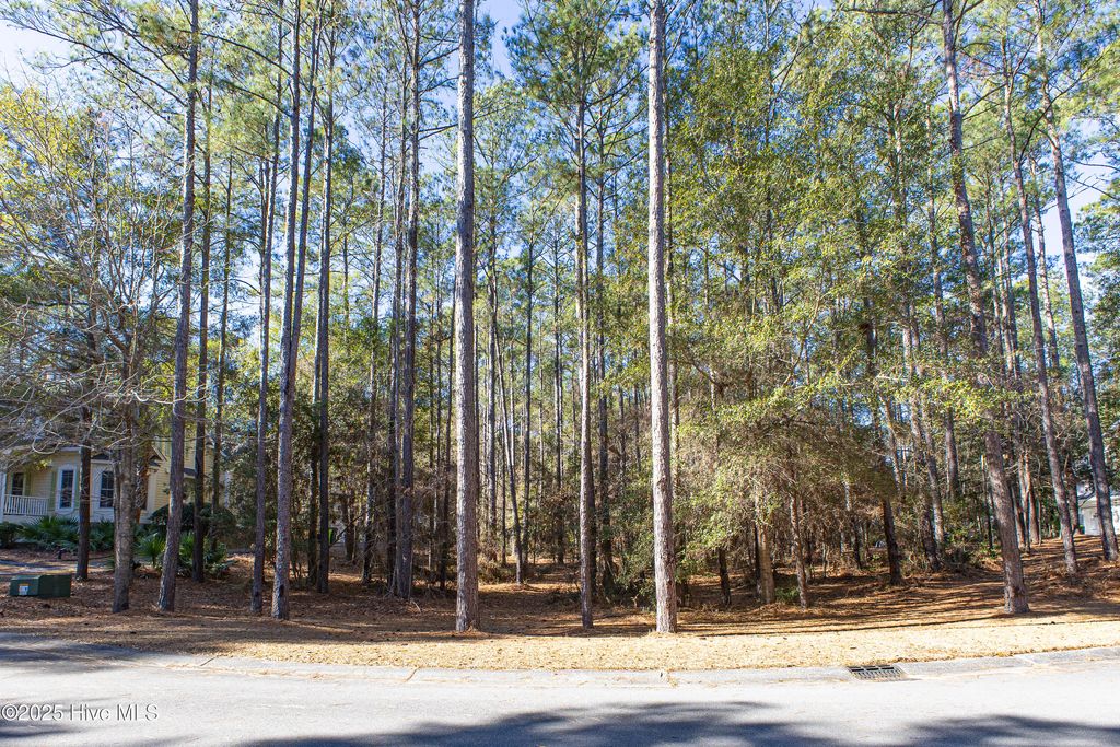 Photo of 3015 Valderama Way SE, Bolivia, NC 28422 (MLS # 100547026)
