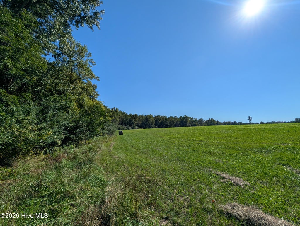 Photo of Tbd County Line Road, Ellerbe, NC 28338 (MLS # 100609862)