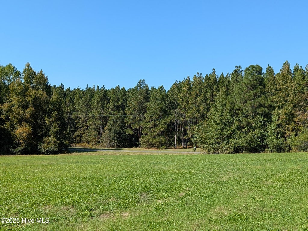Photo of Tbd County Line Road, Ellerbe, NC 28338 (MLS # 100609862)