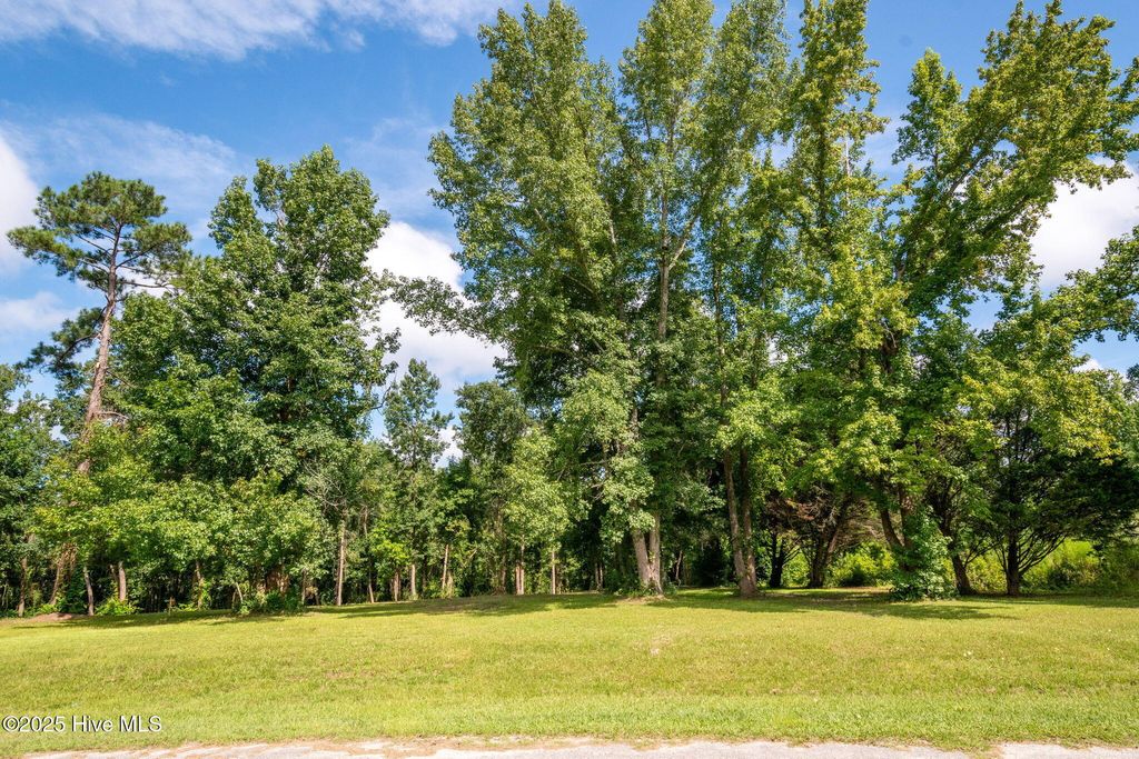 Photo of 1 Nc 133 Highway, Rocky Point, NC 28457 (MLS # 100524642)