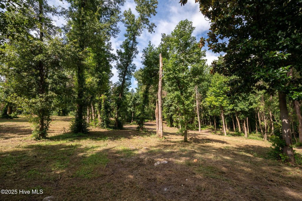 Photo of 1 Nc 133 Highway, Rocky Point, NC 28457 (MLS # 100524642)