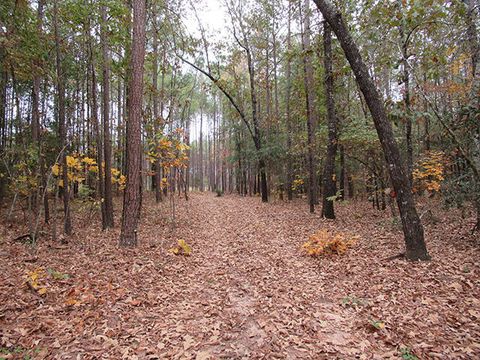 Vacant Land For Sale - Twin Pines Rd.<br/> Keysville, GA 30816