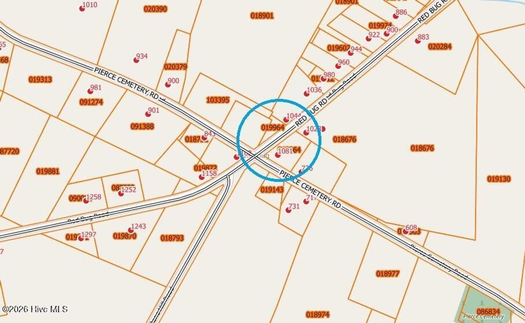 Photo of 1081 Red Bug Road, Hallsboro, NC 28442 (MLS # 100564979)