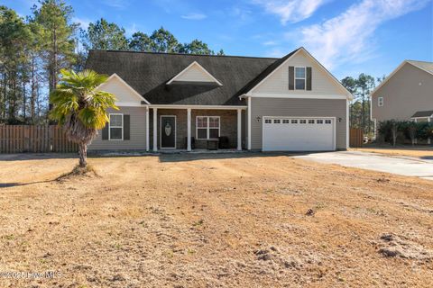 348 Hawk Hollow Trail Burgaw NC 28425