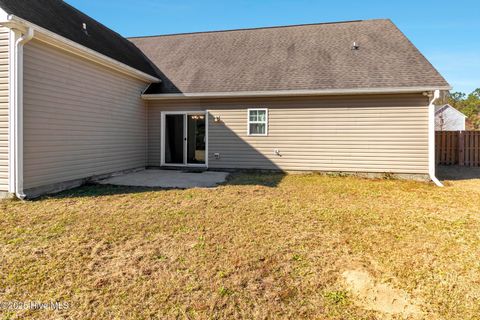 Tiny photo for 348 Hawk Hollow Trail, Burgaw, NC 28425 (MLS # 100545138)