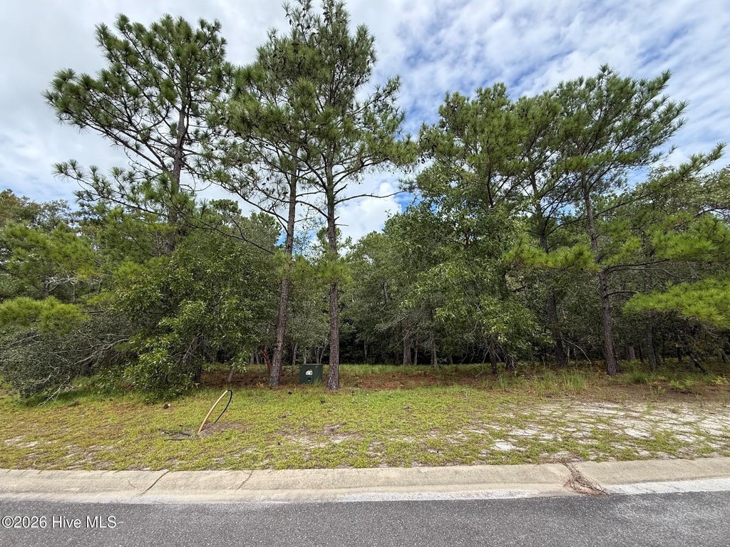 Photo of 595 Ella Circle SE, Bolivia, NC 28422 (MLS # 100603534)