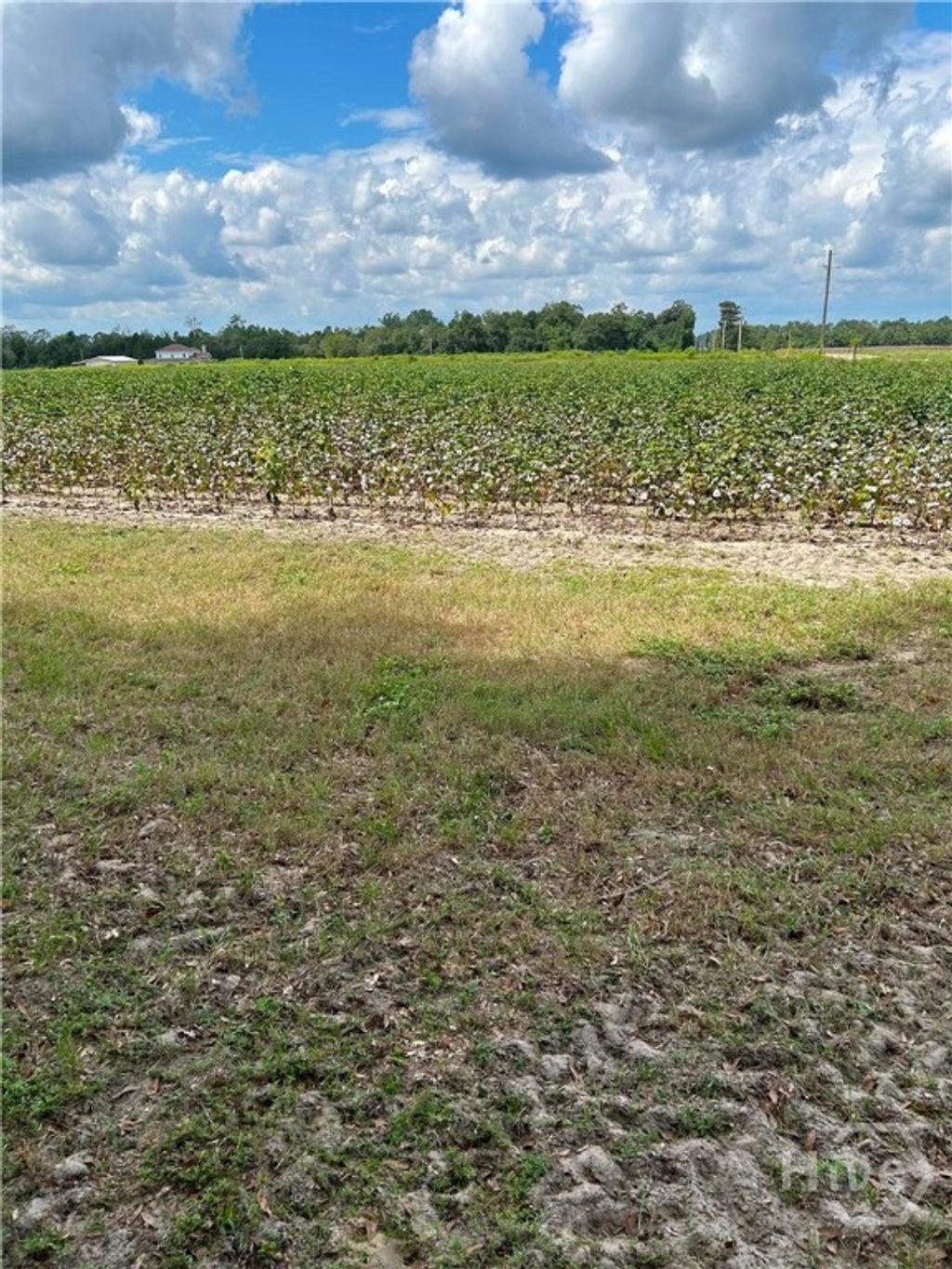 Photo of 344 Shuman Road RD, Brooklet, GA 30415 (MLS # SA357061)