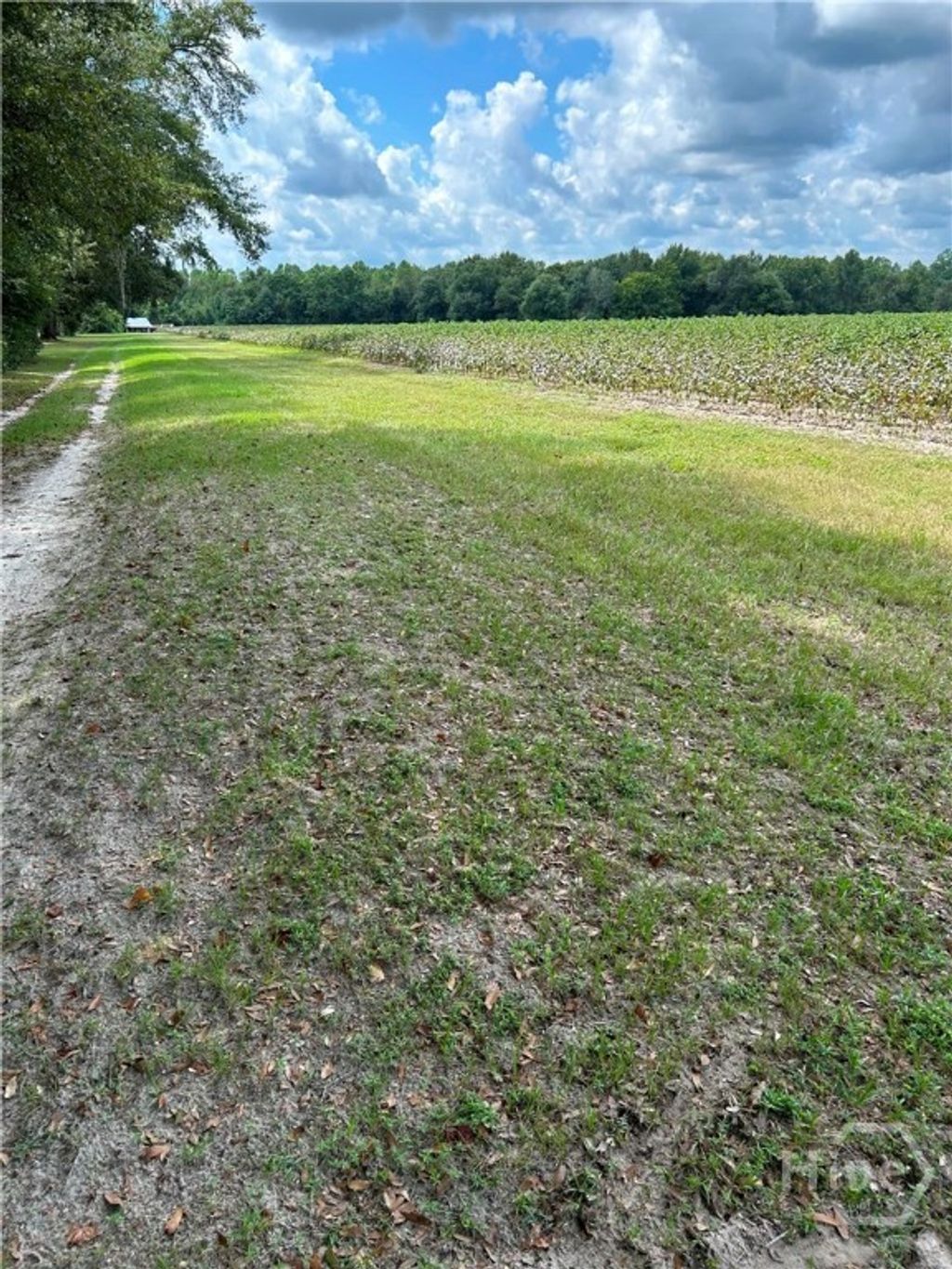 Photo of 344 Shuman Road RD, Brooklet, GA 30415 (MLS # SA357061)