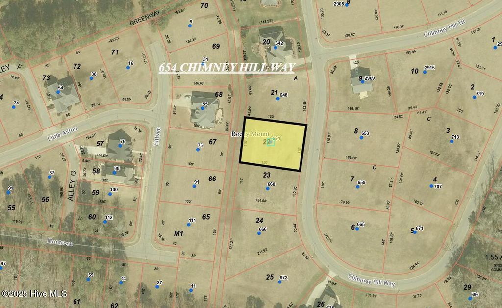 Photo of 654 Chimney Hill Way, Rocky Mount, NC 27804 (MLS # 100490461)