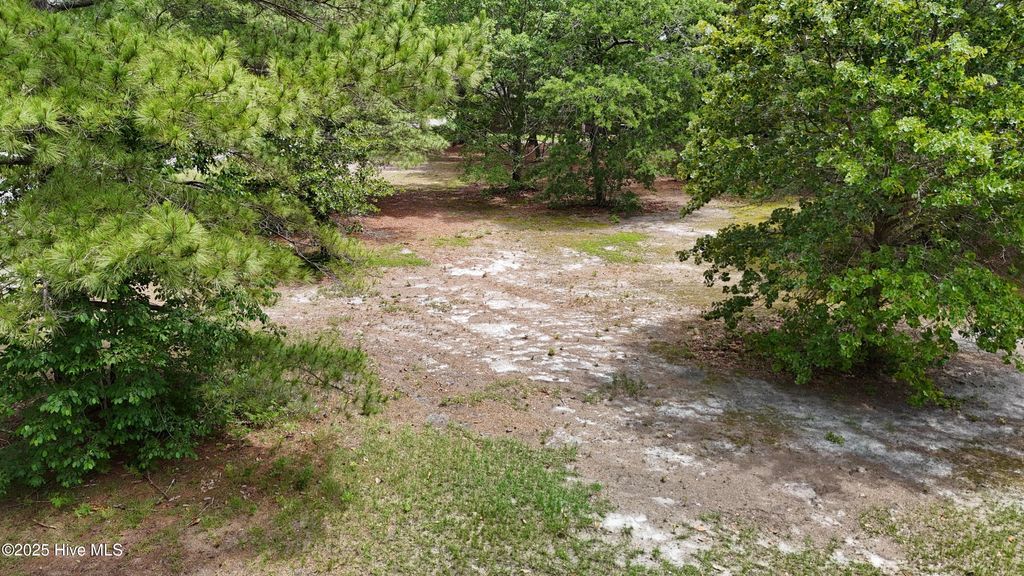 Photo of 180 Cedar Point Drive, Wallace, NC 28466 (MLS # 100507686)