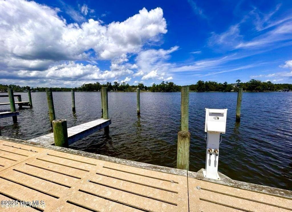 Photo of 64 Meadow Lane, Arapahoe, NC 28510 (MLS # 100541084)