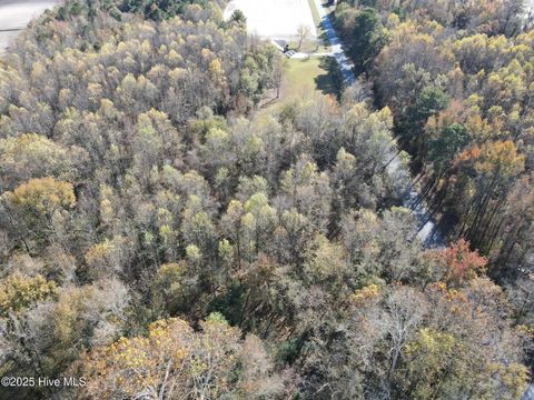 Vacant Land For Sale - LOT 1 Alton Phillips Road<br/> Lenoir County, Kinston, NC 28504