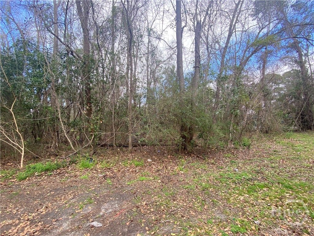 Photo of 000 Toomer Avenue, Savannah, GA 31405 (MLS # SA351499)