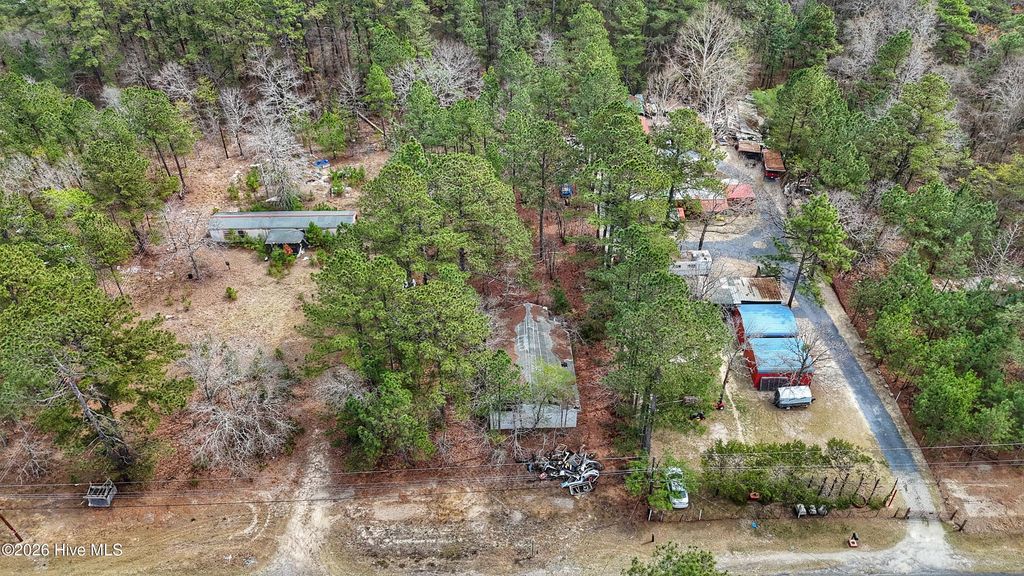 Photo of 221 Riverview Drive, Vass, NC 28394 (MLS # 100565273)