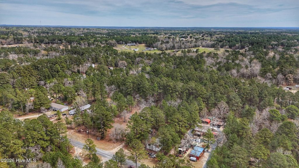 Photo of 221 Riverview Drive, Vass, NC 28394 (MLS # 100565273)