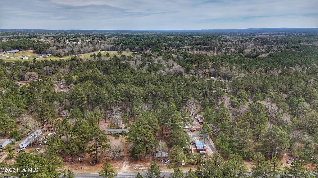 Photo of 221 Riverview Drive, Vass, NC 28394 (MLS # 100565273)