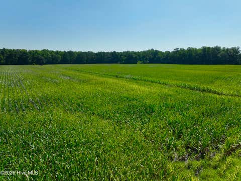 Tiny photo for 00 Cedar Fork Road, Beulaville, NC 28518 (MLS # 100590487)