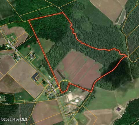 Tiny photo for 00 Cedar Fork Road, Beulaville, NC 28518 (MLS # 100590487)