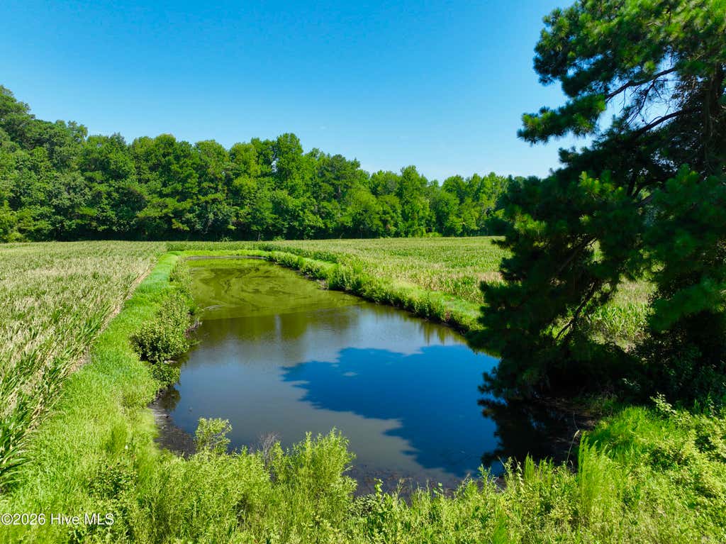 Photo of 00 Cedar Fork Road, Beulaville, NC 28518 (MLS # 100590487)