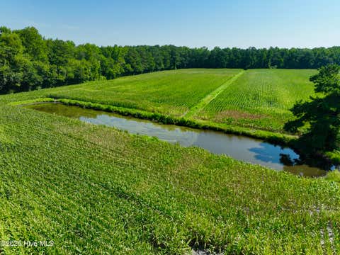 Tiny photo for 00 Cedar Fork Road, Beulaville, NC 28518 (MLS # 100590487)