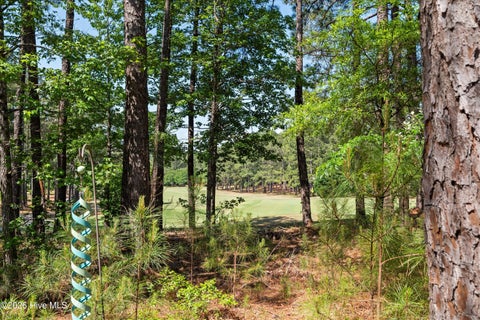 Photo of 131 Cypress Drive, McCormick, SC 29835 (MLS # 100575923)