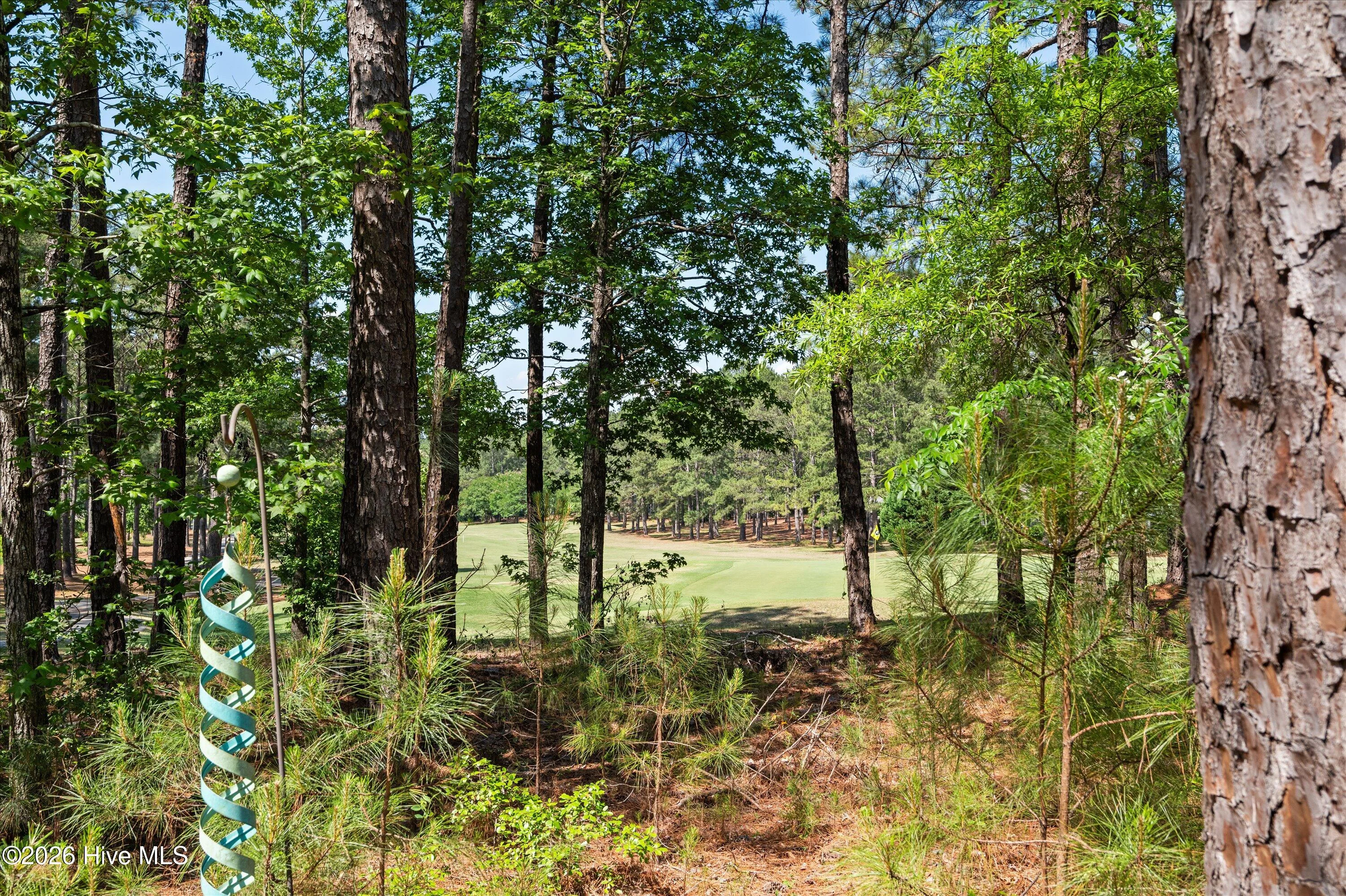 131 Cypress Drive