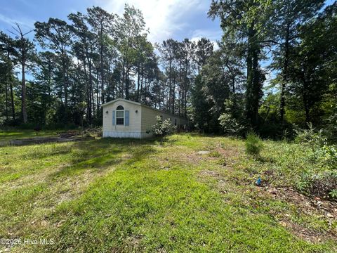 Tiny photo for 142 High Bluff Trail, Hubert, NC 28539 (MLS # 100576592)