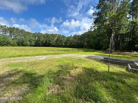 Tiny photo for 142 High Bluff Trail, Hubert, NC 28539 (MLS # 100576592)