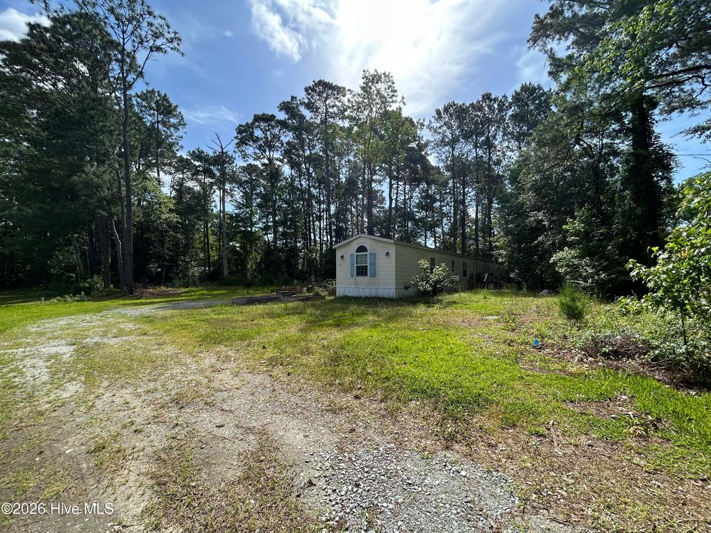 Photo of 142 High Bluff Trail, Hubert, NC 28539 (MLS # 100576592)