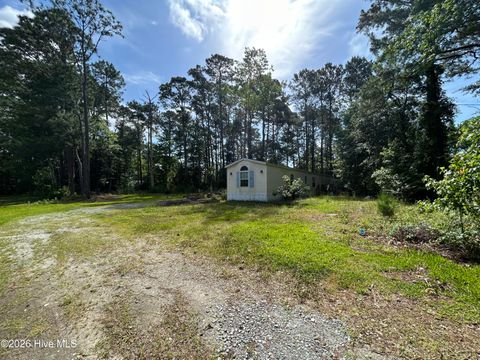 Tiny photo for 142 High Bluff Trail, Hubert, NC 28539 (MLS # 100576592)