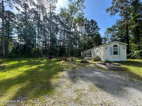 Photo of 142 High Bluff Trail, Hubert, NC 28539 (MLS # 100576592)