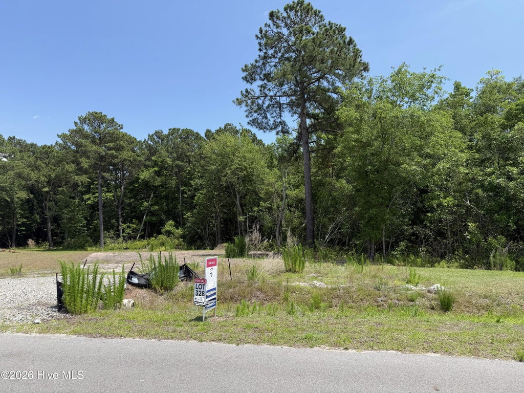 Photo of 311 Royal Eagle Court, Sneads Ferry, NC 28460 (MLS # 100524655)
