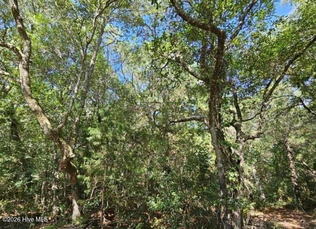 Photo of 17 Col William Rhett Trail, Bald Head Island, NC 28461 (MLS # 100562667)