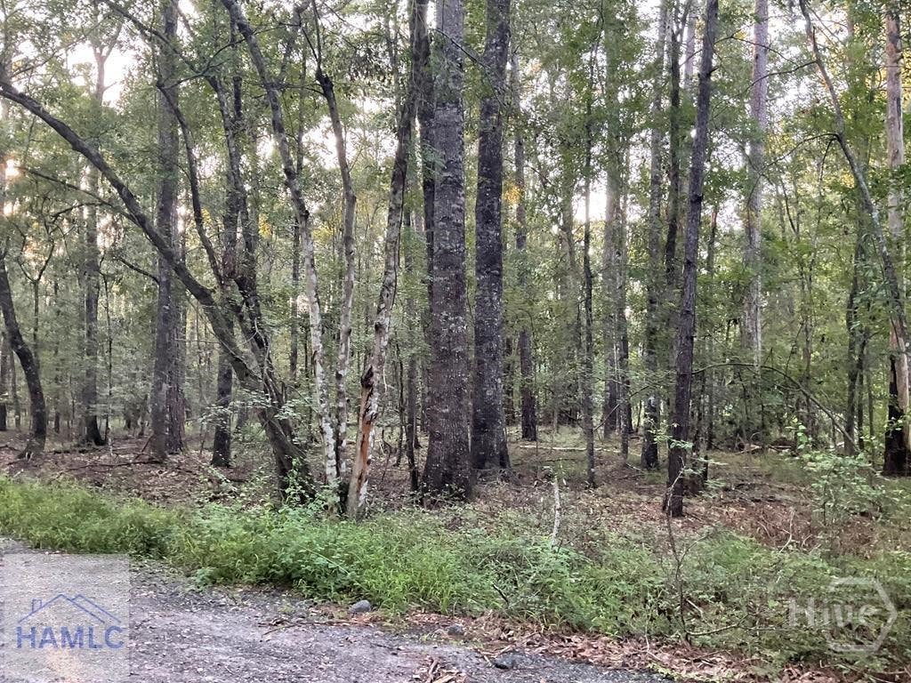 Photo of 0 Cherry Lane, Fleming, GA 31313 (MLS # SA361008)