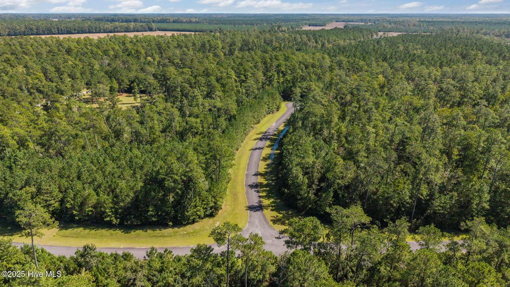 Photo of 87 Mason Lane, Merritt, NC 28556 (MLS # 100546261)